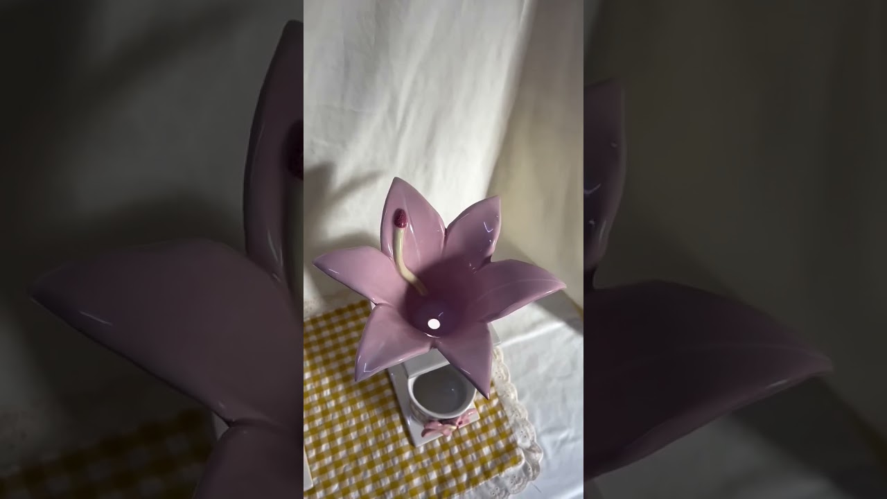 Modern Crockery Design | Stylish Dinnerware, Designer Mugs & Kitchenware Collection 2025