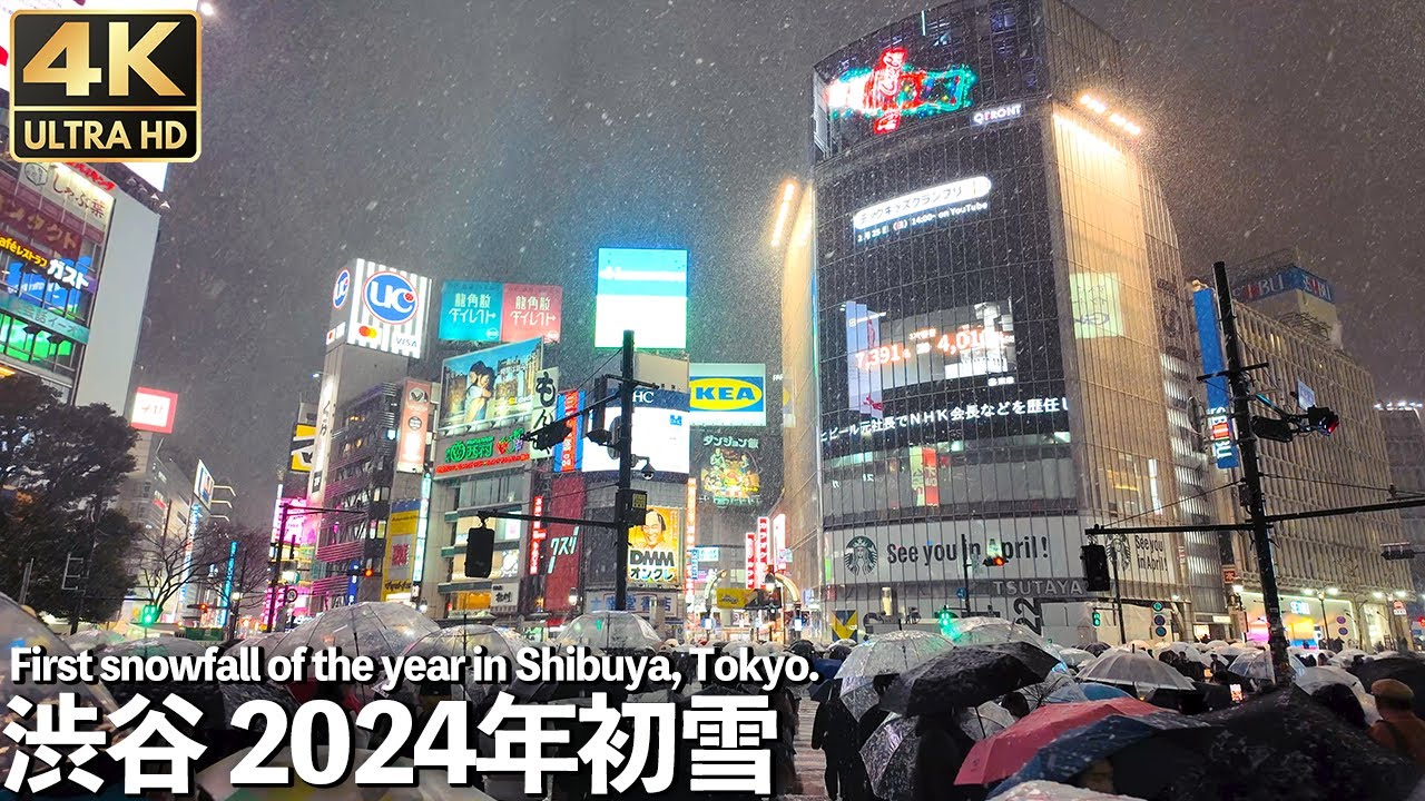 [4K]🇯🇵 東京で2年ぶりの積雪 1ｃｍ！ 渋谷 2024年 大雪 通勤に影響 / First snowfall in two years in Shibuya, Tokyo. 【Pocket3】