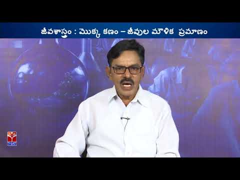 TRT -  SGT || Biology - మొక్క కణం - జీవుల మౌళిక ప్రమాణం  || Rama Rao