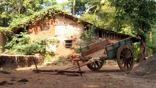 Renovating an old childhood home to support my mother in retirement#renovation#building