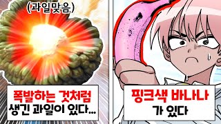 이런게 왜 실제로 있어??? [이왜진 과일 월드컵]