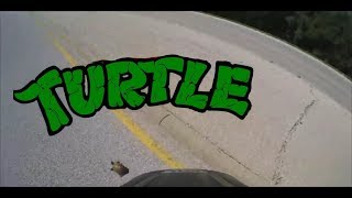 Biker Saves A Turtle