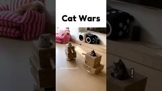 Cat Wars
