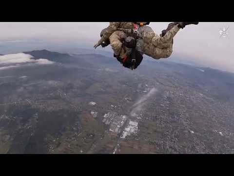 Video: Veterinari Dell'esercito: In Missione Per Mantenere Sani I Cani Militari