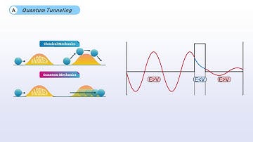 Quantum Tunneling Field-Effect Transistor