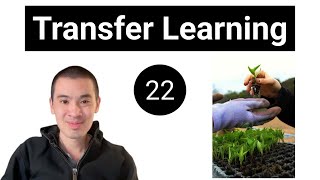 AI & Deep Learning Course #22 - Transfer Learning