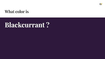 Blackcurrant color #2e183b hex color - Violet color - Cool color 2e183b