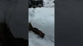 Уаз застрял на газопроводе #automobile #уаз #offroadspb #4x4