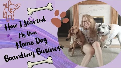Unleash Your Potential: Starting a Profitable Home Dog Boarding Business