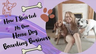 How I Started My Own Home Dog Boarding Business!