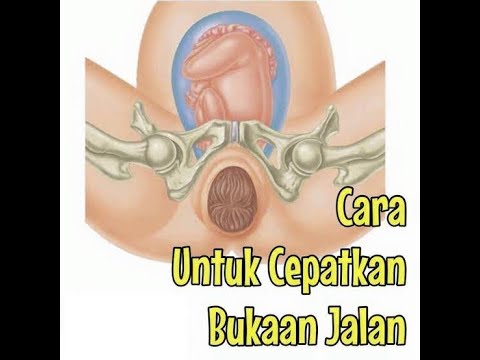 Video: Cara Menyediakan Persalinan Borsch Dengan Mudah Untuk Musim Sejuk