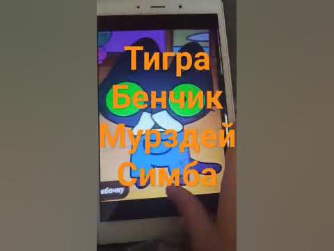 #симба #тигра #симбочка - YouTube