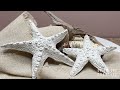 How to make a starfish using clay  air dry clay tutorial