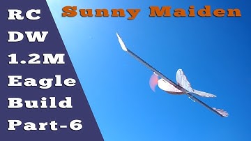 DW Epp 1200mm Eagle Sunny Day Maiden Flight before rain starts.