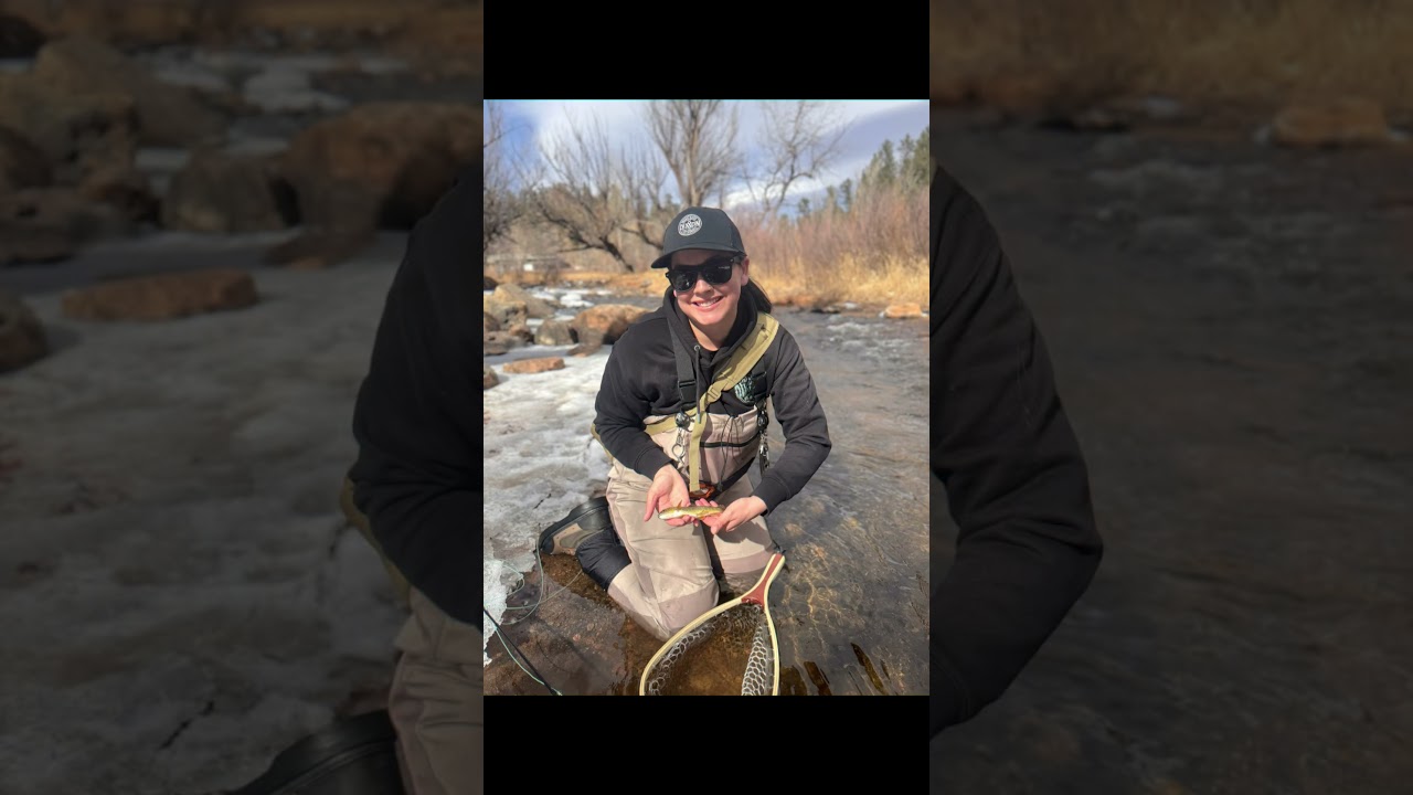 Winter fly fishing with a dry dropper rig Parachute Adams 16 & Zebra Midge! 