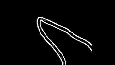 Berkeley Major Map - Occupancy Map