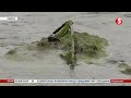 Синьо-зелені водорості з'явилися на одеських пляжах: яка причина та чи безпечно купатися в морі