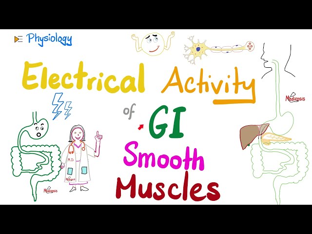 Slow Wave potential, Basic Electrical Rhythm (BER) and Spike (Action) Potentials of gut | Physiology class=