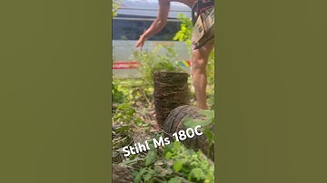 Hướng dẫn test máy cưa Stihl ms 180c