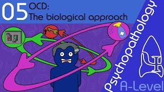 OCD: explaining and treating (Biological approach)  Psychopathology [ALevel Psychology]