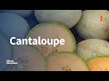 Cantaloupe Selection and Storage Quiz