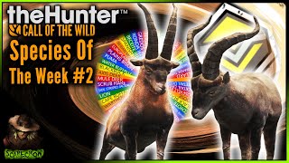 Celebrity Species Of The Week #2! Diamond Gredos Ibex & The Weirdest Ronda Ibex Ever! Call of the wild Net Worth