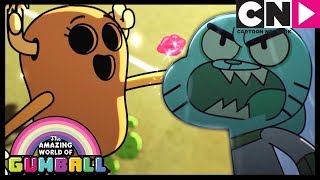 Gumball | Gumball Gets Super Jealous Of Penny and Leslie | The Flower | Cartoon Network