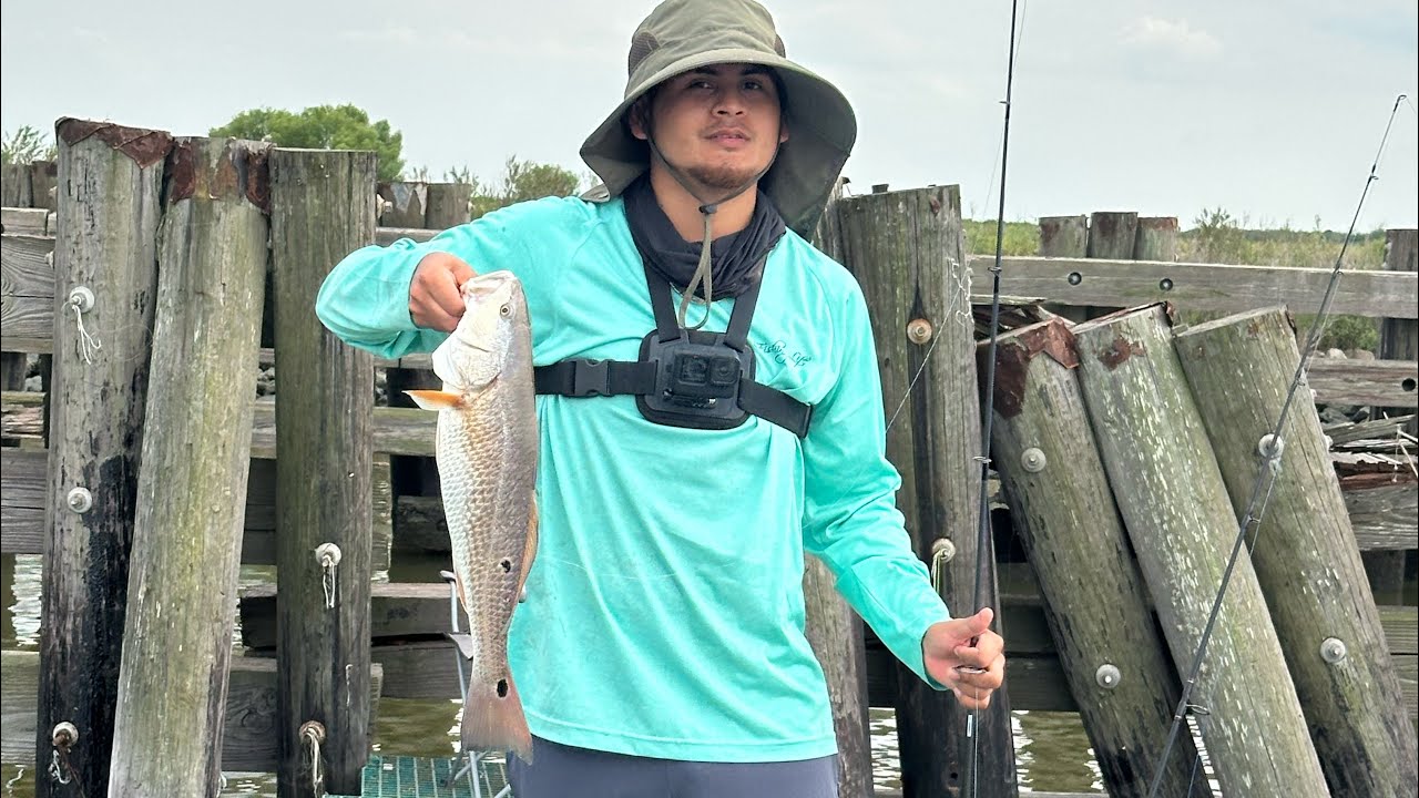 Pescando con camaron vivo 🎣🎣🎣