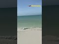 Венесуэла 🇻🇪