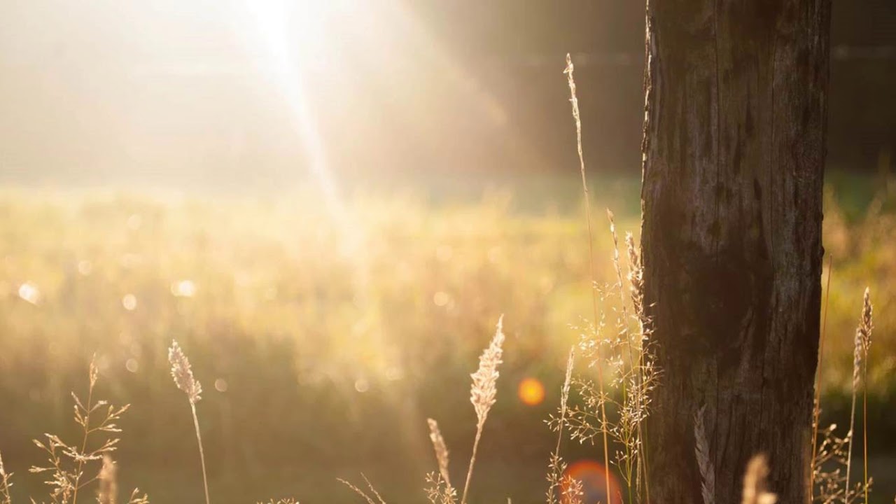 Curious about tomorrow's weather? It's going to be hot