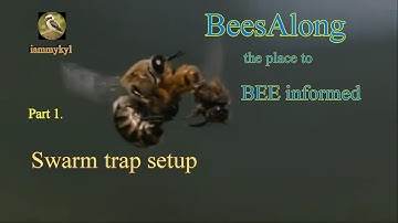 Swarm Trap, part 1 SETUP.