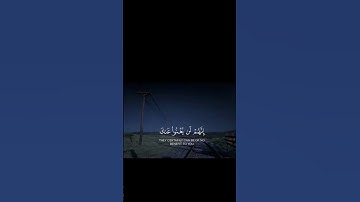 قرآن | سورة الجاثية | القارئ ابو بكر الشاطري #quran #المصحف #قرآن #قران_كريم #ابوبكر_الشاطري