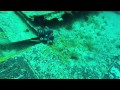 Diving Plane and Ship Wrecks - Runaway Bay, Jamaica