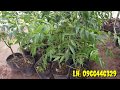 BINOMO Để rút được tiền từ binomo bạn cần làm theo các bước sau xác thực tài khoản lần đầu và gọi nh