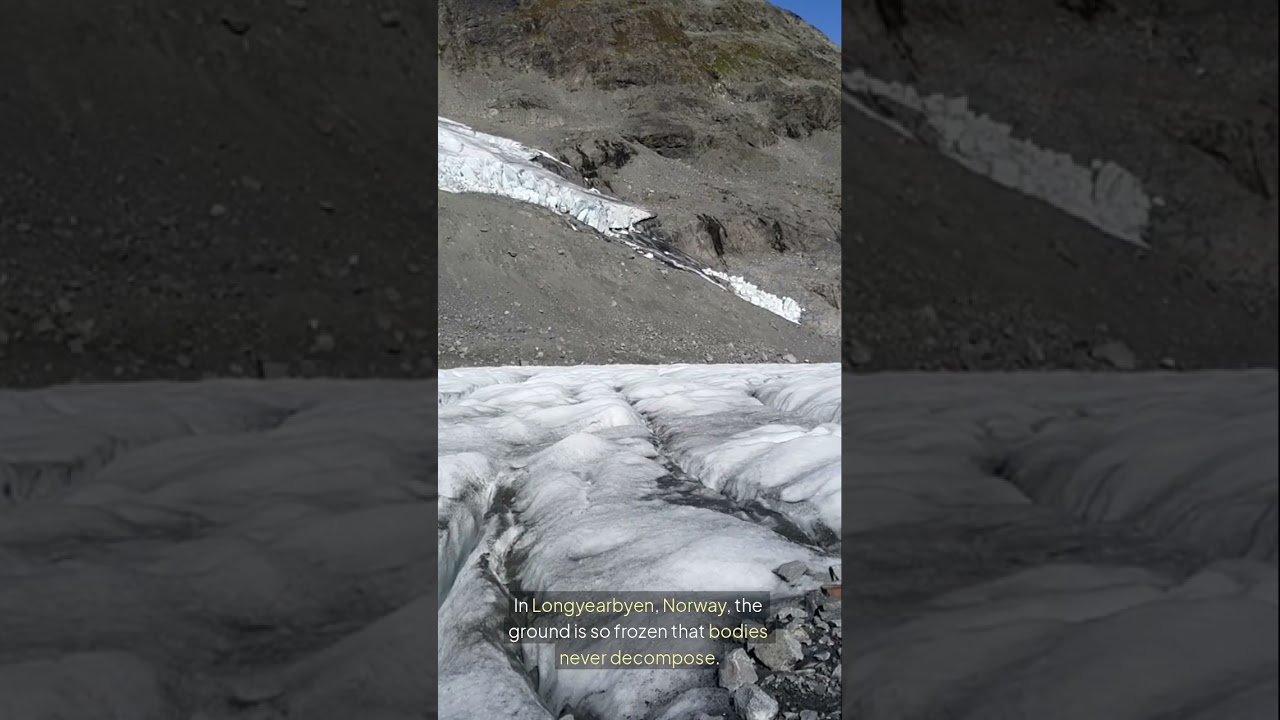 Theres a town that banned dying