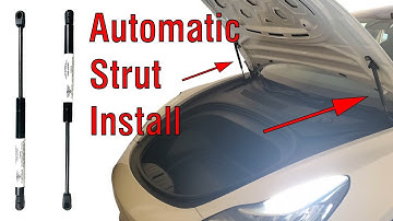 Tesla Model 3 Upgraded Lift Struts Installation