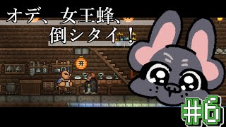 【初テラリア】女王蜂vsムキムキ犬の配信🐶【Terrria】