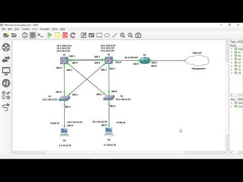 Konfigurieren der Access Ports