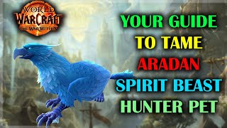 How to Tame Aradan Spirit beast Hunter Pet | Guide | The War Within season 1 11.0.5