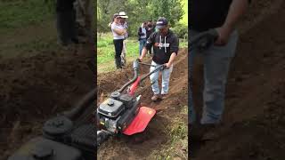 MOTOAZADA DUCATI DTL7000