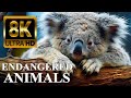 ENDANGERED ANIMALS 8K ULTRA HD with Names and Sounds