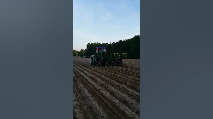 tobacco field planting in Brunswick county Virgini...