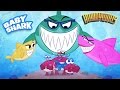 Baby Shark Song - Music for Children - Rainbow Songs by Howdytoons