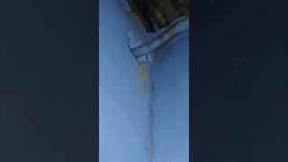 Salah Masuk Lobang viral  trending trendingshorts funny comedy love viralshorts