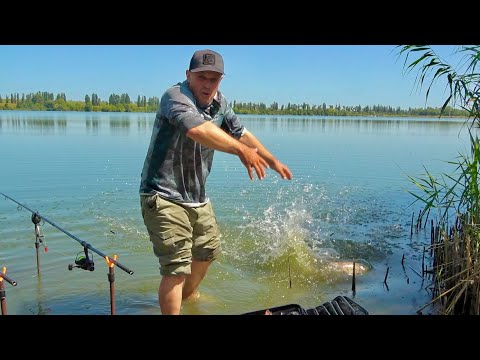 It’s biting even in green water! Catching trophy silver carp in the wild. Fishing with technoplan...