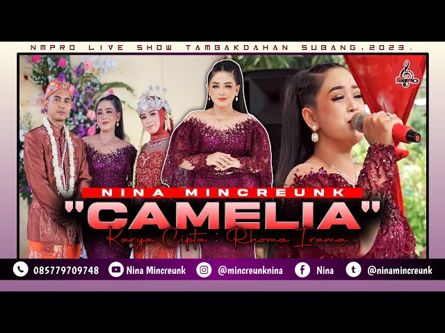 NINA MINCREUNK || CAMELIA - RHOMA IRAMA  || LIVE PERFOM TAMBAK DAHAN SUBANG class=