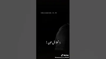 انتي الشيخة 