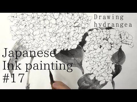 水墨画/白描画:Japanese Ink painting/Suibokuga/Sumie #17 Hydrangea