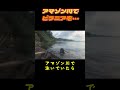 アマゾン川でピラニアを・・・　　#shorts
