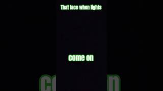 Look at that face, When the Lights come on #funny #dog